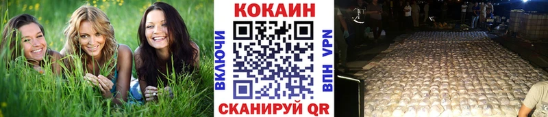 COCAIN Эквадор  дарк нет телеграм  Сенгилей 