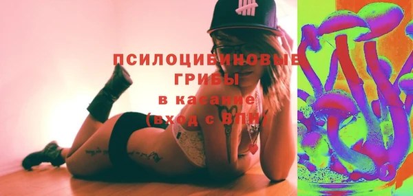 PSILOCYBIN Пересвет